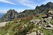 35 Valle di Trona fiorita con vista sul Pizzo di Mezzodi e Torrione di Mezzaluna a dx
